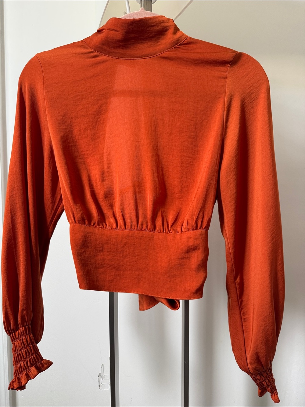 Cropped Long-Sleeve Top in Burnt Orange